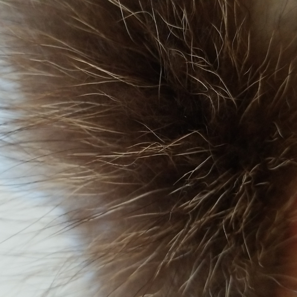 Iceberg Jacket - image 4